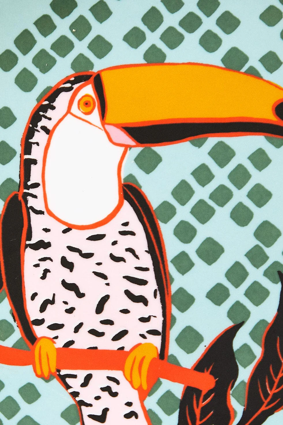 Toucan Plate - Image 3