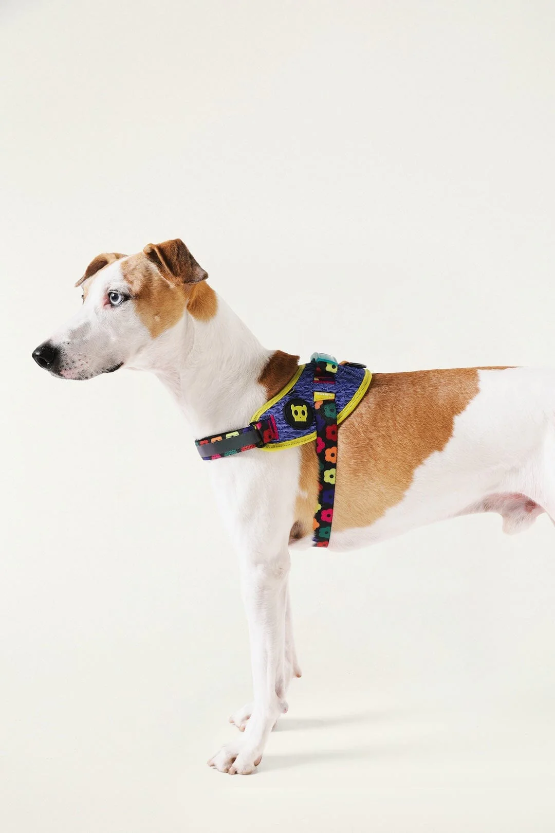 Zeedog Farm Samba Flyharness - Size 2 - Image 5