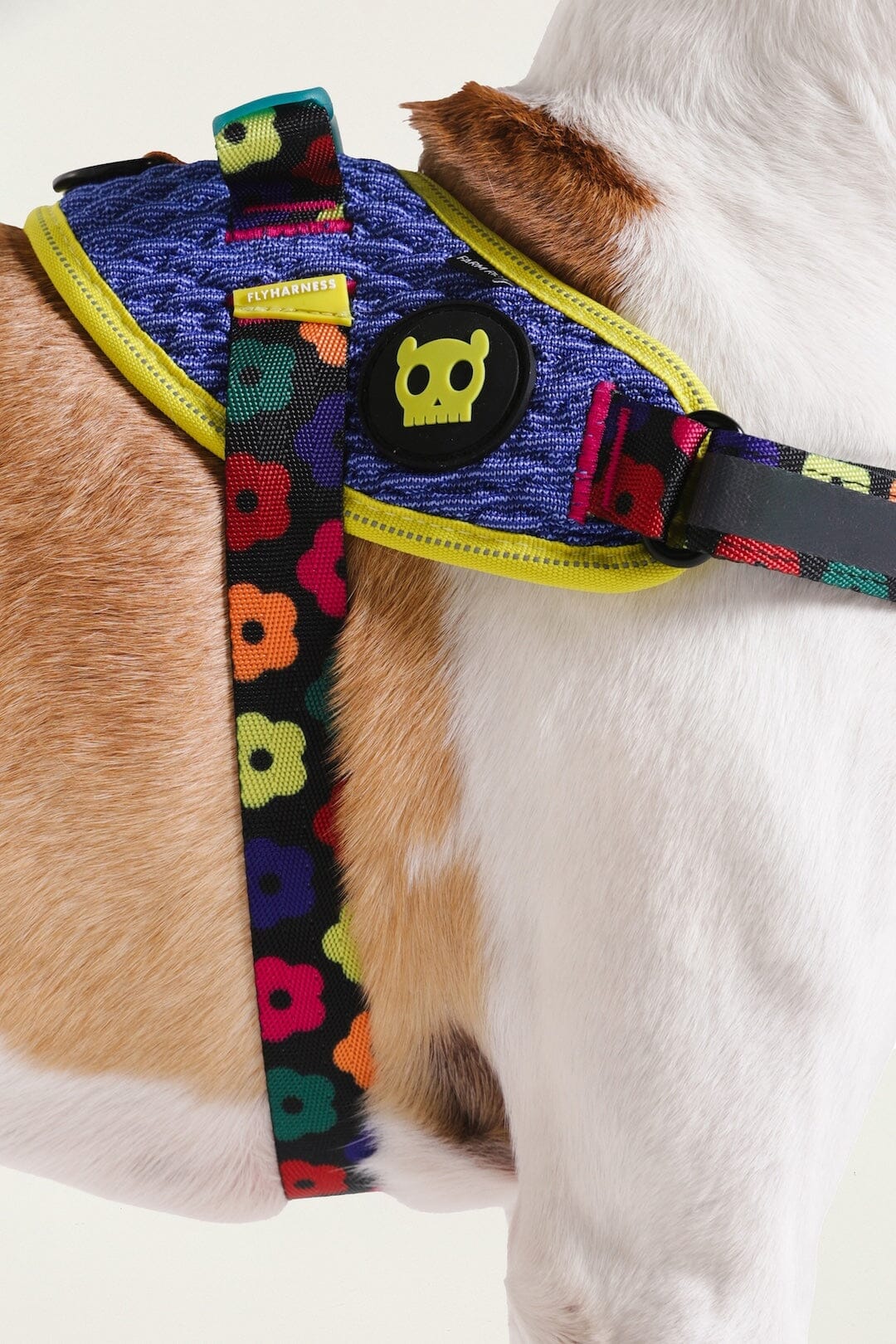 Zeedog Farm Samba Flyharness - Size 2 - Image 6